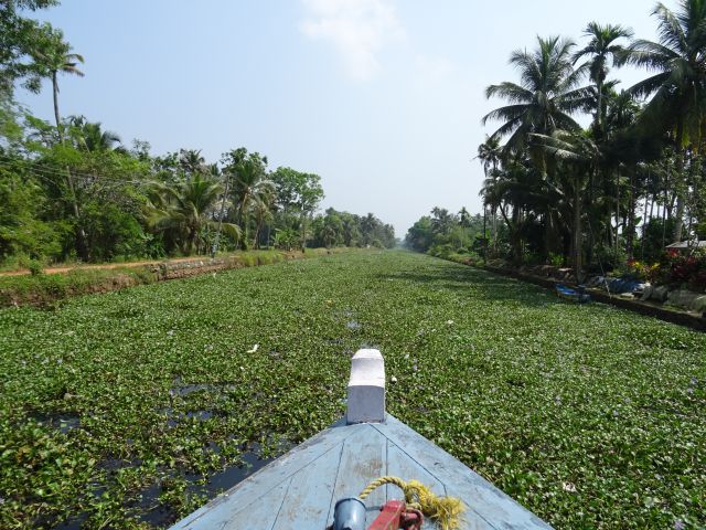 Kottayam